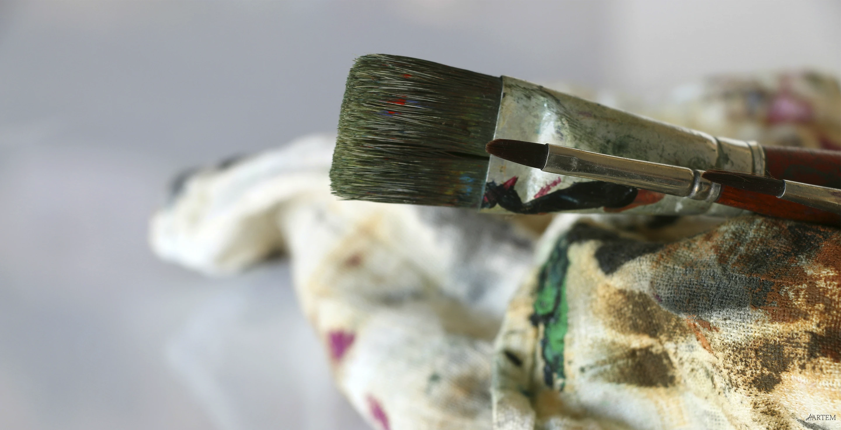 Hartem brushes